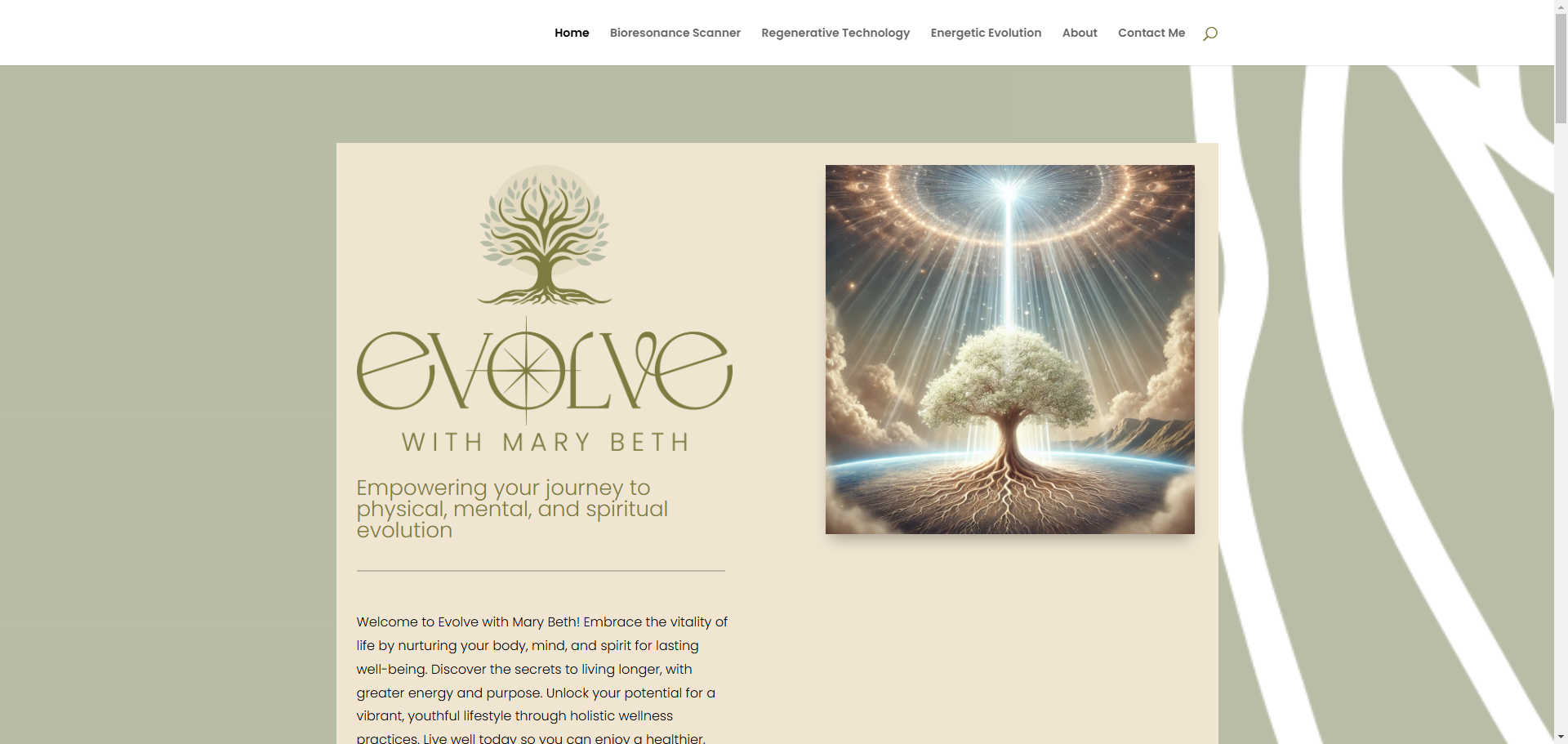 custom website development small business website design small business website design